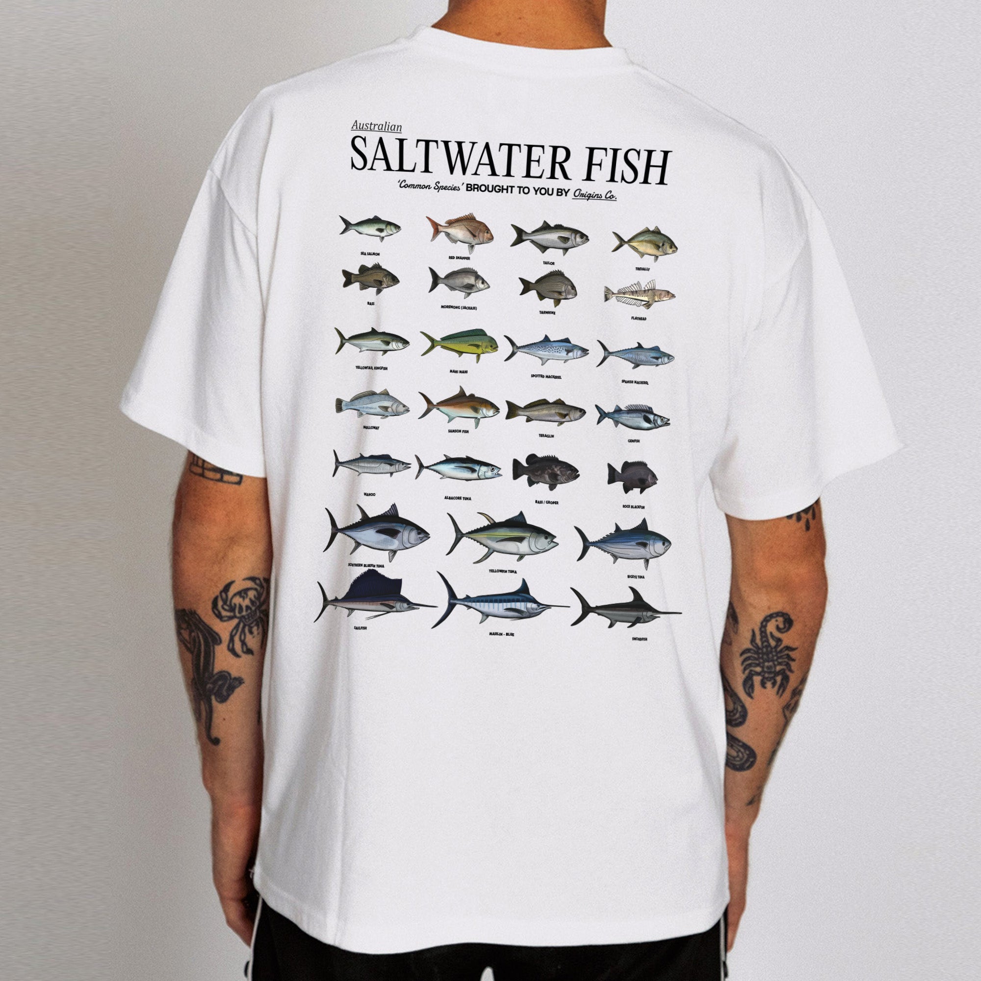 Saltwater fish species chart t-shirt Australia, Australian fishing apparel, Marine fish identification shirt, Saltwater fishing graphic tee, Aussie saltwater fish t-shirt, Fishing species chart shirt Australia, Coastal fishing gear Australia, Ocean fish identification t-shirt, Saltwater fishing gifts Australia, Fishing lifestyle clothing Australia, Unique fishing shirts Australia, Great Barrier Reef fish t-shirt, Fishing enthusiast apparel Australia, Saltwater angler shirt, Outdoor adventure fishing t-shirt